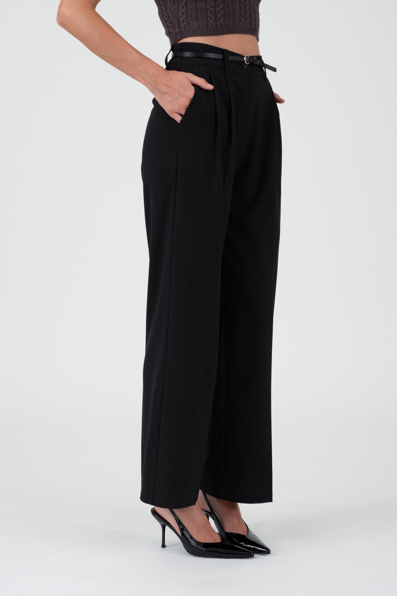 High Waist Pleated Wide Leg Dress Pants Medium