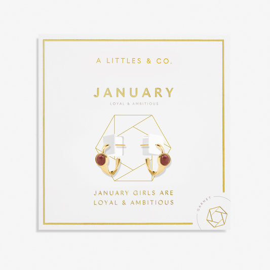 Birthstone Gold Plated Hoop Earrings || January