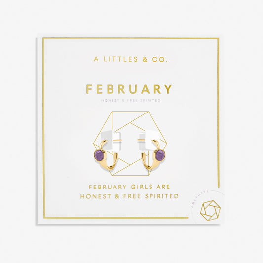 Birthstone Gold Plated Hoop Earrings || February