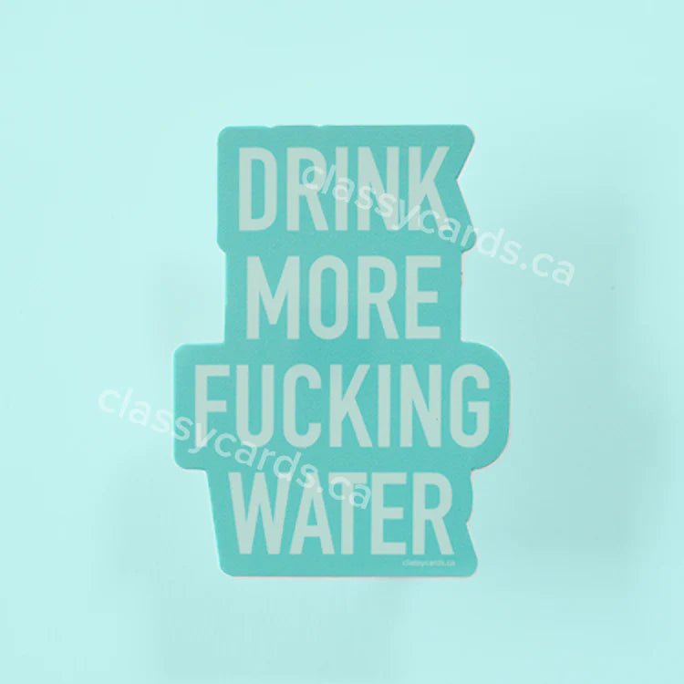 "Drink More Fucking Water" Vinyl Sticker - In Pursuit Mobile Boutique || Apparel, Accessories & Gifts Saint John, New Brunswick